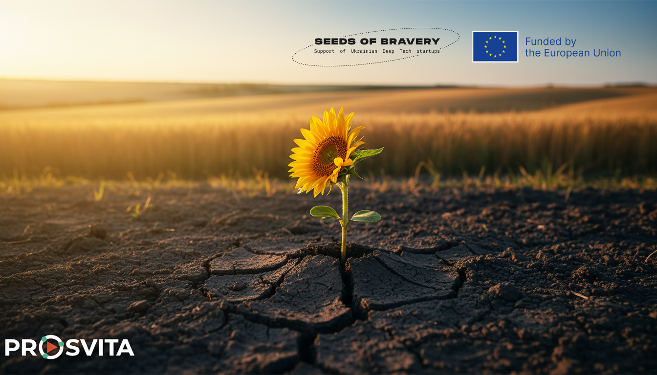 Prosvita receives the Seeds of Bravery grant and completes the accelerator — backed by the European Union for Ukrainian EdTech startups